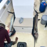 whatsapp image 2025 08 23 à 11.42.10 4ab394b9